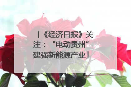 《经济日报》关注：“电动贵州”建强新能源产业