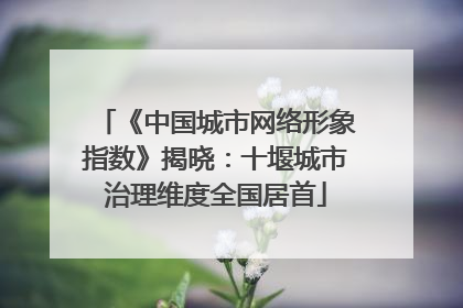 《中国城市网络形象指数》揭晓：十堰城市治理维度全国居首