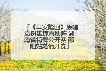 《早安隆回》原唱袁树雄惊喜助阵 湖南省街舞公开赛·邵阳站燃情开赛