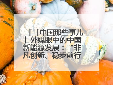 「中国那些事儿」外媒眼中的中国新能源发展：“非凡创新、稳步前行、需求侧强劲”