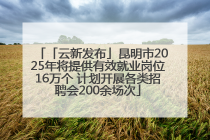 「云新发布」昆明市2025年将提供有效就业岗位16万个 计划开展各类招聘会200余场次