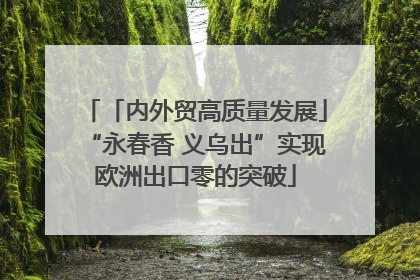 「内外贸高质量发展」“永春香 义乌出”实现欧洲出口零的突破