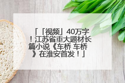 「视频」40万字！江苏省重大题材长篇小说《车桥 车桥》在淮安首发！