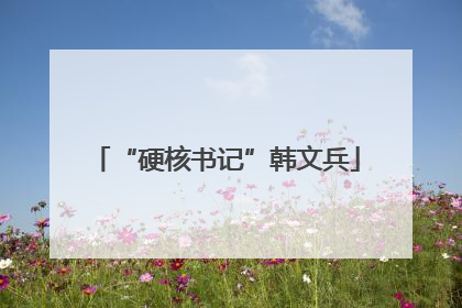 “硬核书记”韩文兵