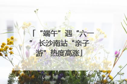“端午”遇“六一” 长沙南站“亲子游”热度高涨