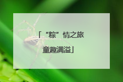 “粽”情之旅 童趣满溢