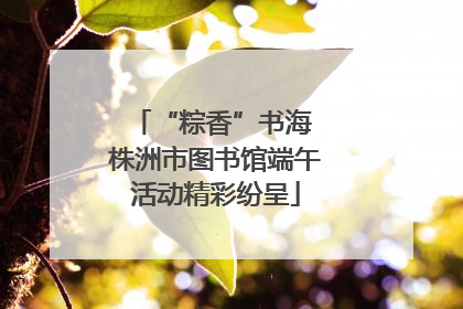 “粽香”书海 株洲市图书馆端午活动精彩纷呈