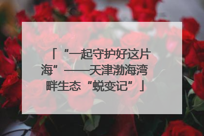 “一起守护好这片海”——天津渤海湾畔生态“蜕变记”