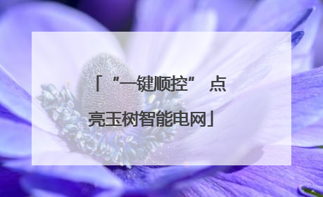 “一键顺控” 点亮玉树智能电网