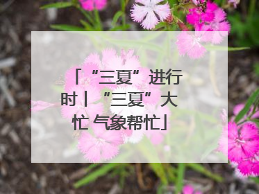 “三夏”进行时丨“三夏”大忙 气象帮忙