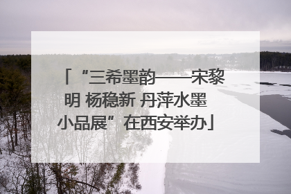 “三希墨韵——宋黎明 杨稳新 丹萍水墨小品展”在西安举办