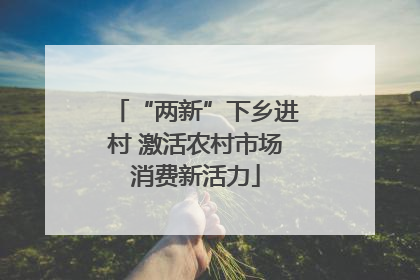 “两新”下乡进村 激活农村市场消费新活力