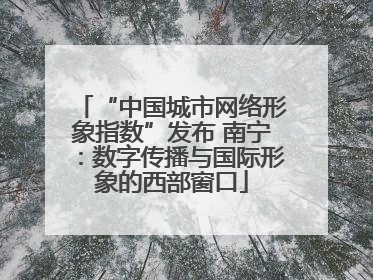 “中国城市网络形象指数”发布 南宁：数字传播与国际形象的西部窗口