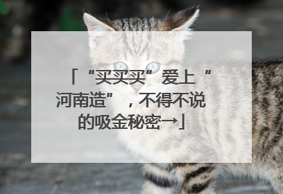 “买买买”爱上“河南造”，不得不说的吸金秘密→