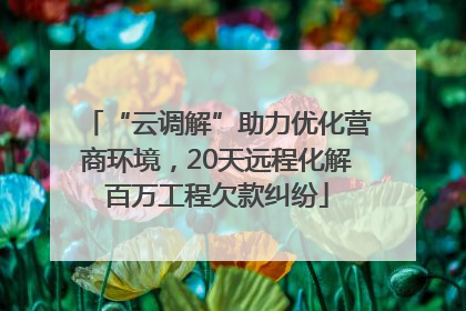 “云调解”助力优化营商环境，20天远程化解百万工程欠款纠纷