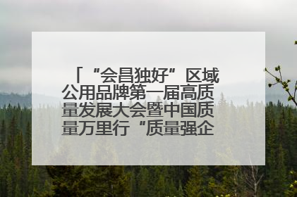 “会昌独好”区域公用品牌第一届高质量发展大会暨中国质量万里行“质量强企•质品行动”进会昌启动仪式成功举办