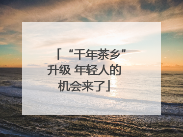 “千年茶乡”升级 年轻人的机会来了