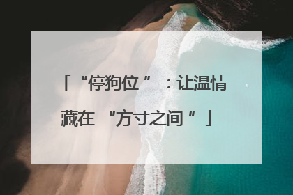 “停狗位 ”：让温情藏在 “方寸之间 ”