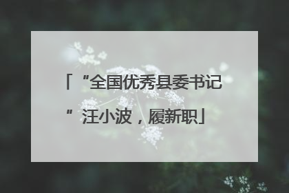 “全国优秀县委书记”汪小波，履新职