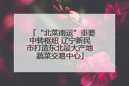 “北菜南运”重要中转枢纽 辽宁新民市打造东北最大产地蔬菜交易中心