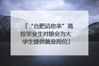 “合肥请您来”高校毕业生对接会为大学生提供就业岗位