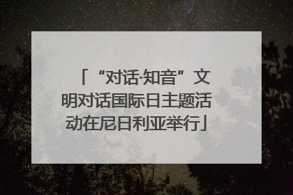 “对话·知音”文明对话国际日主题活动在尼日利亚举行