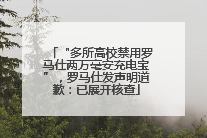 “多所高校禁用罗马仕两万毫安充电宝”，罗马仕发声明道歉：已展开核查