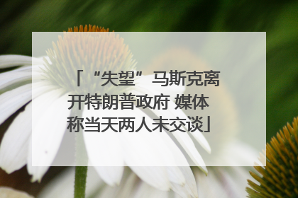 “失望”马斯克离开特朗普政府 媒体称当天两人未交谈