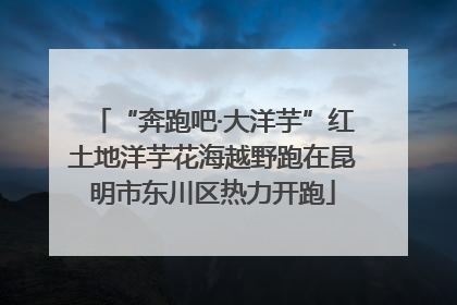 “奔跑吧·大洋芋”红土地洋芋花海越野跑在昆明市东川区热力开跑