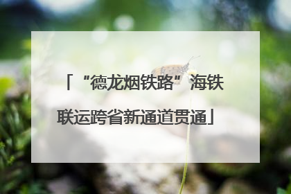 “德龙烟铁路”海铁联运跨省新通道贯通