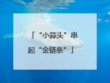 “小蒜头”串起“金链条”