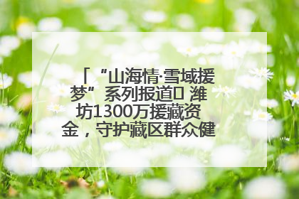 “山海情·雪域援梦”系列报道⑪ 潍坊1300万援藏资金，守护藏区群众健康“最后一公里”