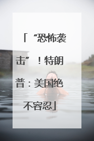 “恐怖袭击”！特朗普：美国绝不容忍