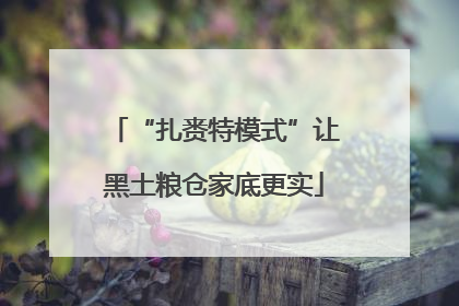 “扎赉特模式”让黑土粮仓家底更实