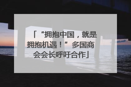 “拥抱中国，就是拥抱机遇！”多国商会会长呼吁合作