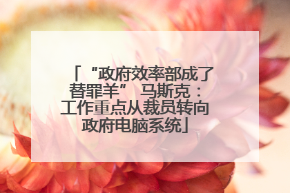 “政府效率部成了替罪羊” 马斯克：工作重点从裁员转向政府电脑系统