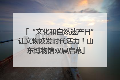 “文化和自然遗产日”让文物焕发时代活力！山东博物馆双展启幕