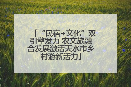 “民宿+文化”双引擎发力 农文旅融合发展激活天水市乡村游新活力
