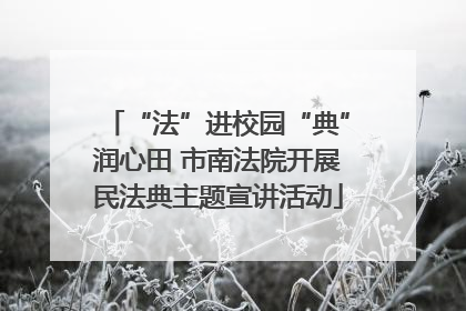 “法”进校园“典”润心田 市南法院开展民法典主题宣讲活动