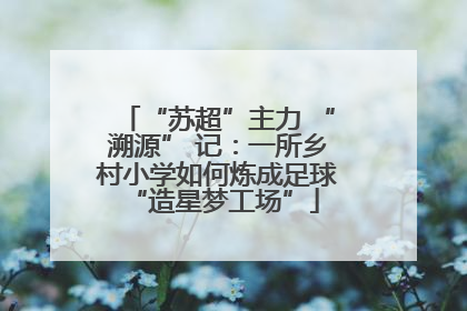 “苏超”主力 “溯源” 记：一所乡村小学如何炼成足球 “造星梦工场”