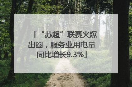 “苏超”联赛火爆出圈，服务业用电量同比增长9.3%