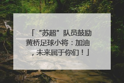 “苏超”队员鼓励黄桥足球小将：加油，未来属于你们！