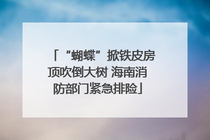 “蝴蝶”掀铁皮房顶吹倒大树 海南消防部门紧急排险