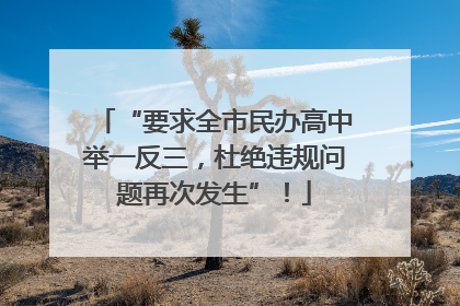 “要求全市民办高中举一反三，杜绝违规问题再次发生”！