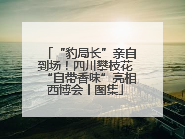 “豹局长”亲自到场！四川攀枝花“自带香味”亮相西博会丨图集