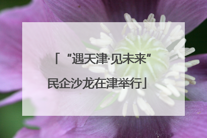 “遇天津·见未来”民企沙龙在津举行