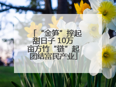 “金笋”撑起甜日子 10万亩方竹“链”起团结富民产业