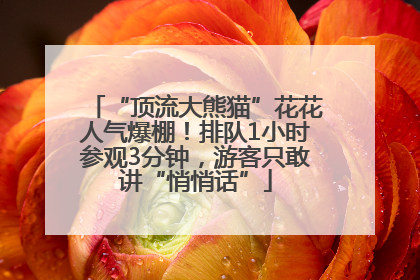 “顶流大熊猫”花花人气爆棚！排队1小时参观3分钟，游客只敢讲“悄悄话”