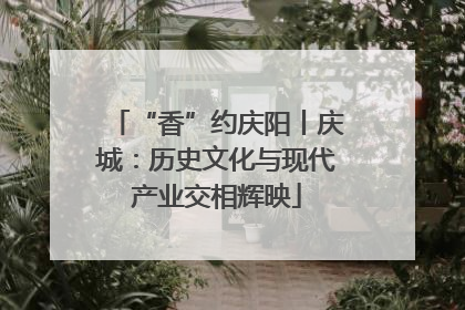“香”约庆阳丨庆城：历史文化与现代产业交相辉映