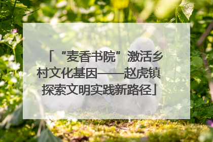 “麦香书院”激活乡村文化基因——赵虎镇探索文明实践新路径